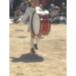 10��13���@�^����@12�C�Ђ܂��ۓJ��s�i_60