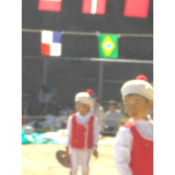 10��13���@�^����@12�C�Ђ܂��ۓJ��s�i_65