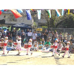 10��13���@�^����@12�C�Ђ܂��ۓJ��s�i_78