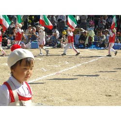 10��13���@�^����@12�C�Ђ܂��ۓJ��s�i_86