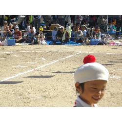 10��13���@�^����@12�C�Ђ܂��ۓJ��s�i_88