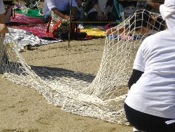 10��13���@�^����@13�C�����ɂȂ��Ă�������_47