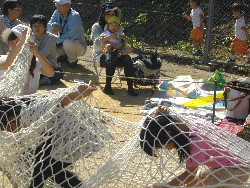 10��13���@�^����@13�C�����ɂȂ��Ă�������_56