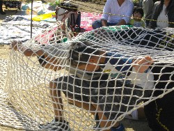 10��13���@�^����@13�C�����ɂȂ��Ă�������_59