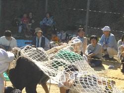 10��13���@�^����@13�C�����ɂȂ��Ă�������_60