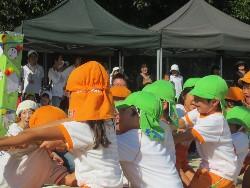 10��13���@�^����@14�C�j����_33