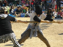 10��13���@�^����@14�C�j����_82