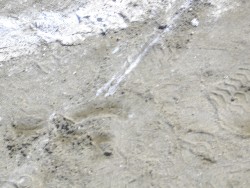 10��13���@�^����@14�C�j����_90