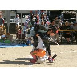 10��13���@�^����@6�C�����e�q���Z_61