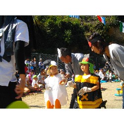 10��13���@�^����@6�C�����e�q���Z_79