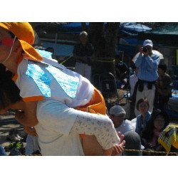 10��13���@�^����@8�C�������e�q���Z_90