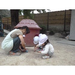 10��15���@����ۂہ@���{���̓�_33