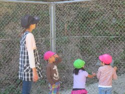 10��17���@��񂰁@���{���̓�_6