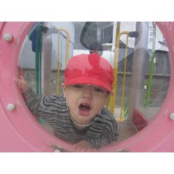 10��18���@������@�����݂̐X_29