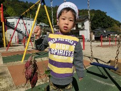 10��22���@��񂰁@���܂����@��I_1