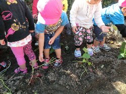 10��22���@��񂰁@���܂����@��I_3