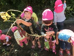 10��22���@��񂰁@���܂����@��I_4