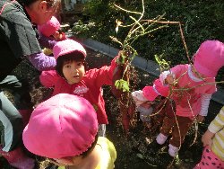 10��22���@��񂰁@���܂����@��I_5