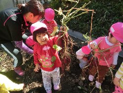 10��22���@��񂰁@���܂����@��I_6