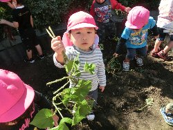 10��22���@��񂰁@���܂����@��I_8