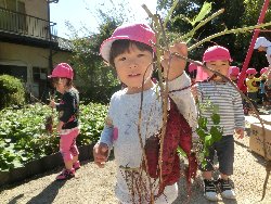 10��22���@��񂰁@���܂����@��I_9