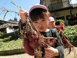 10��22���@��񂰁@���܂����@��I_10