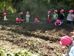 10��22���@��񂰁@���܂����@��I_14