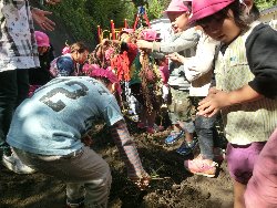 10��22���@��񂰁@���܂����@��I_15