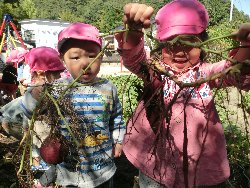 10��22���@��񂰁@���܂����@��I_16