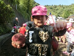 10��22���@��񂰁@���܂����@��I_17