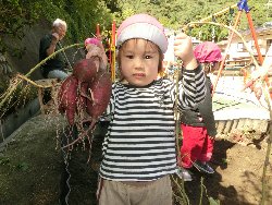 10��22���@��񂰁@���܂����@��I_20