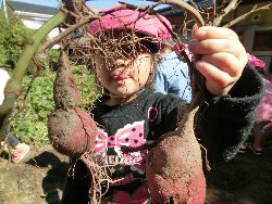 10��22���@��񂰁@���܂����@��I_21