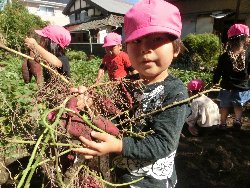 10��22���@��񂰁@���܂����@��I_22