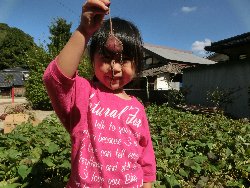 10��22���@��񂰁@���܂����@��I_23