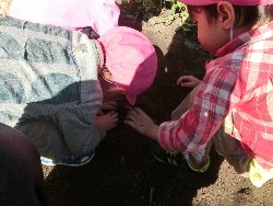 10��22���@��񂰁@���܂����@��I_24