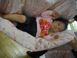 10��24���@�����@�����V��_1