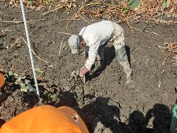 10��28���@�Ђ܂��2F�@�@�c���w_1