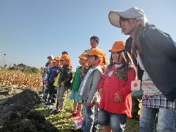 10��28���@�Ђ܂��2F�@�@�c���w_2