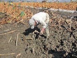 10��28���@�Ђ܂��2F�@�@�c���w_3