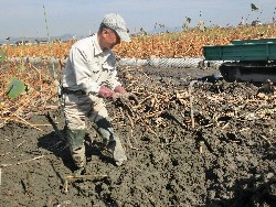 10��28���@�Ђ܂��2F�@�@�c���w_6