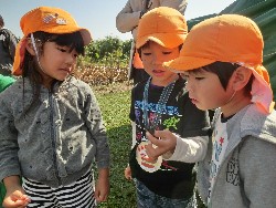 10��28���@�Ђ܂��2F�@�@�c���w_7