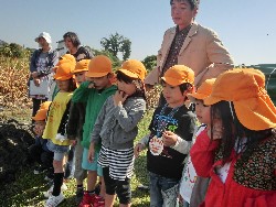 10��28���@�Ђ܂��2F�@�@�c���w_9