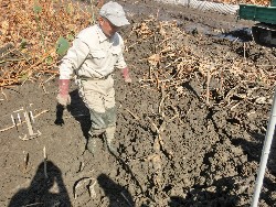 10��28���@�Ђ܂��2F�@�@�c���w_10