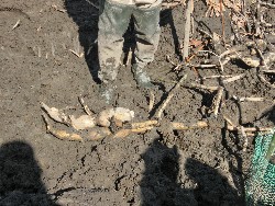 10��28���@�Ђ܂��2F�@�@�c���w_12