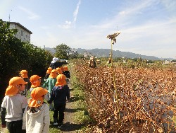 10��28���@�Ђ܂��2F�@�@�c���w_15