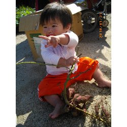 10��28���@�����@�����ق�_1