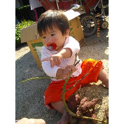 10��28���@�����@�����ق�_2