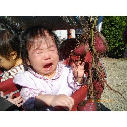 10��28���@�����@�����ق�_5