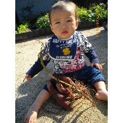 10��28���@�����@�����ق�_8