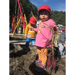 10��28���@������@�����ق�_5